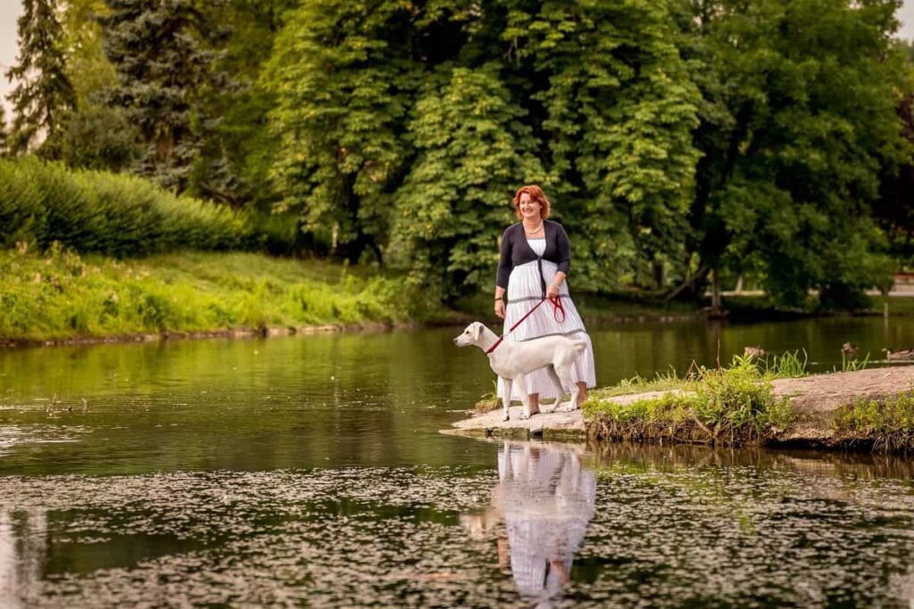 Kutyás story - Quahuflow